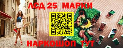 гидра Нальчик