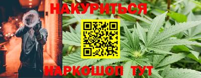 гидра Нальчик