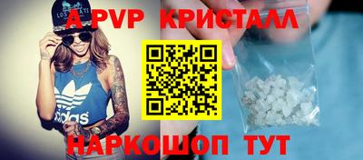 гидра Нальчик