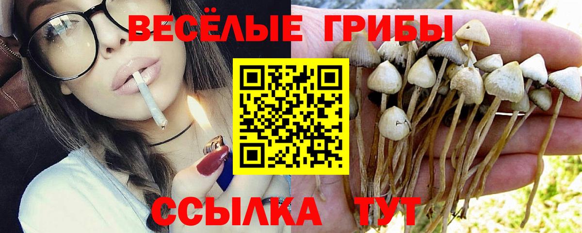 Топки  Галлюциногенные грибы ЛСД  Вход с VPN  Галлюциногенные грибы Cubensis 